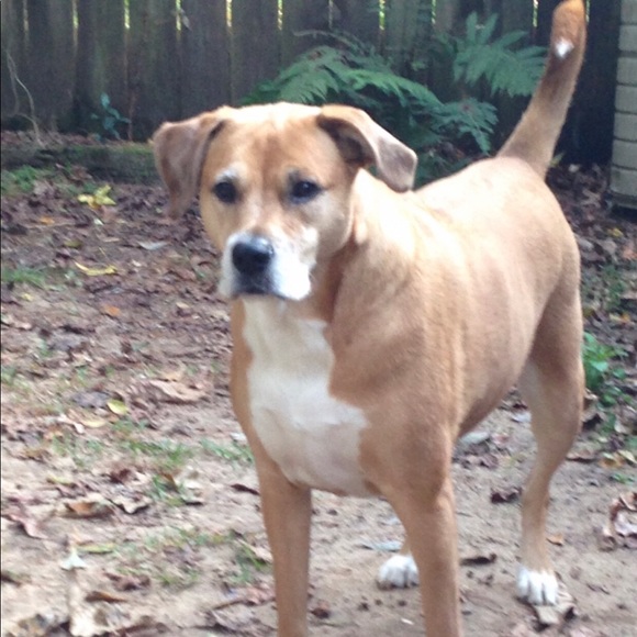 Meet your Posher, Heather - Picture 3 of 4